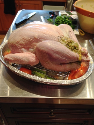 Stuffed and Trussed Turkey ready for Oven